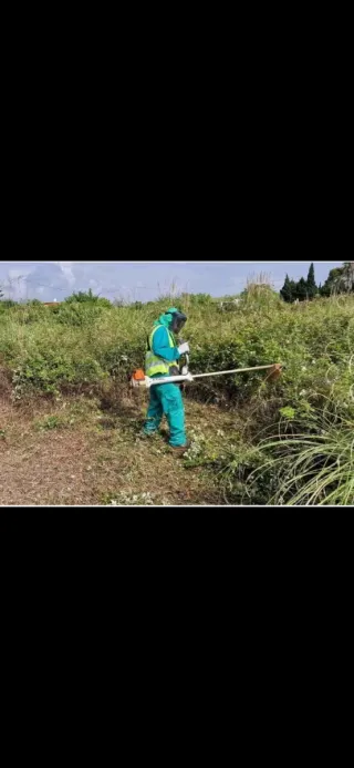 HAGO limpieza casas terrenos parcelas