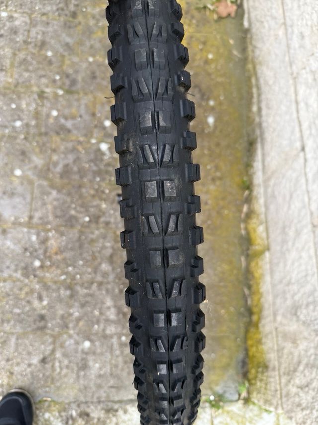 Ruota MTB 29 Maxxis Minion DHF