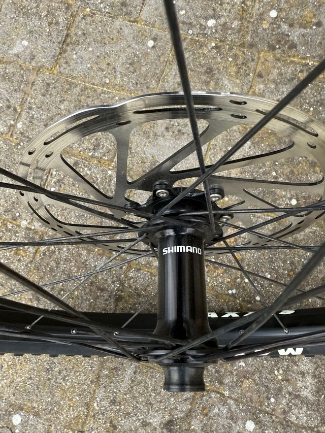 Ruota MTB 29 Maxxis Minion DHF