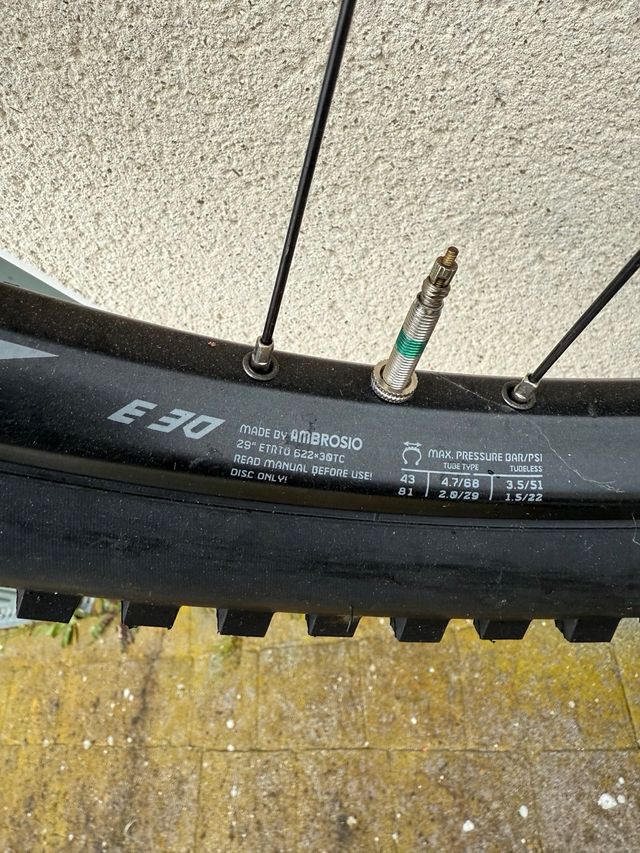 Ruota MTB 29 Maxxis Minion DHF