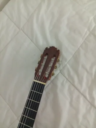 Guitarra Clásica Contreras