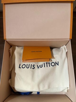 Bolso LV Marrón y Morado Hombre