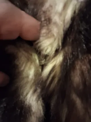 Abrigo de pelo marrón y multicolor talla XXL