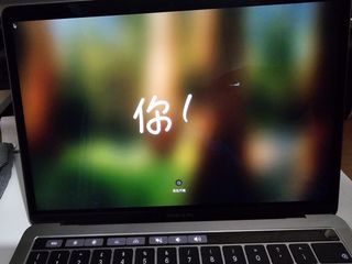 MacBook Pro Apple Argento/Grigio Siderale