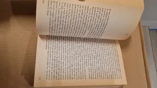 Il Nido dei Calabroni