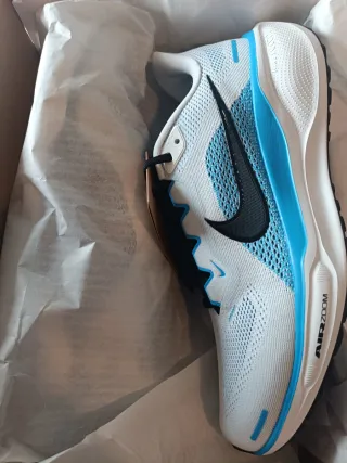 Nike Air Zoom Pegasus 40 Zapatillas Running Hombre