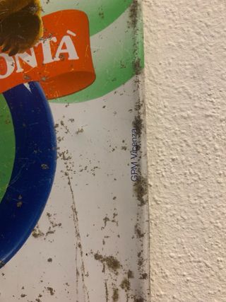 Listino Prezzi Gelati Sanson 30 anni Vintage