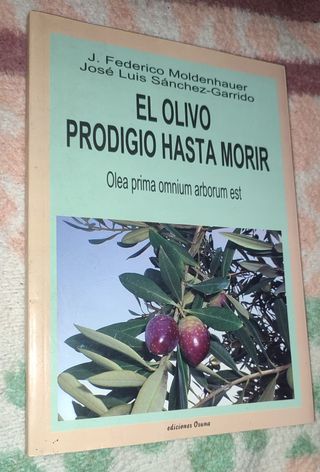 El olivo prodigio hasta morir | Libro único