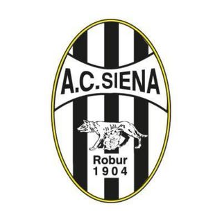 Camiseta Fútbol A.C. Siena 2009/10