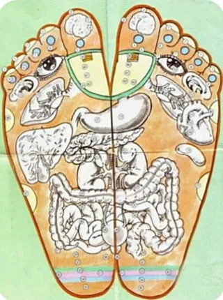 Sesiones de reflexología (masajes en los pies)