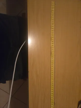 Collana Snake Argento