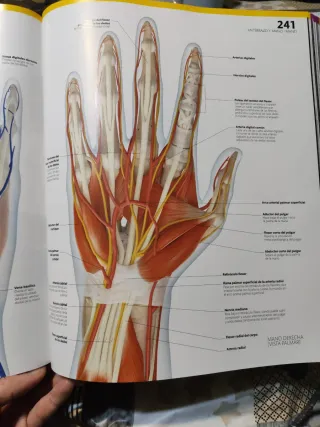 El gran libro del cuerpo humano.: La guía visua...