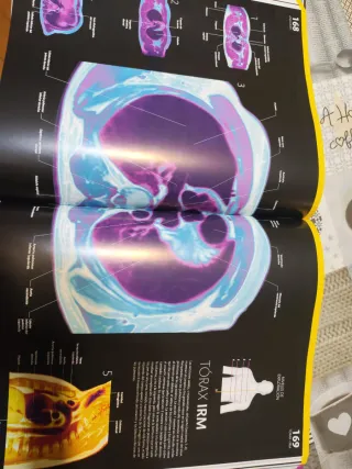 El gran libro del cuerpo humano.: La guía visua...