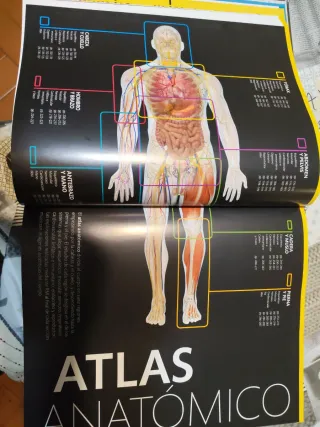 El gran libro del cuerpo humano.: La guía visua...