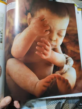 El gran libro del cuerpo humano.: La guía visua...