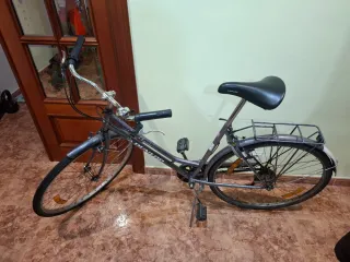 Bicicleta Dunlop Classic