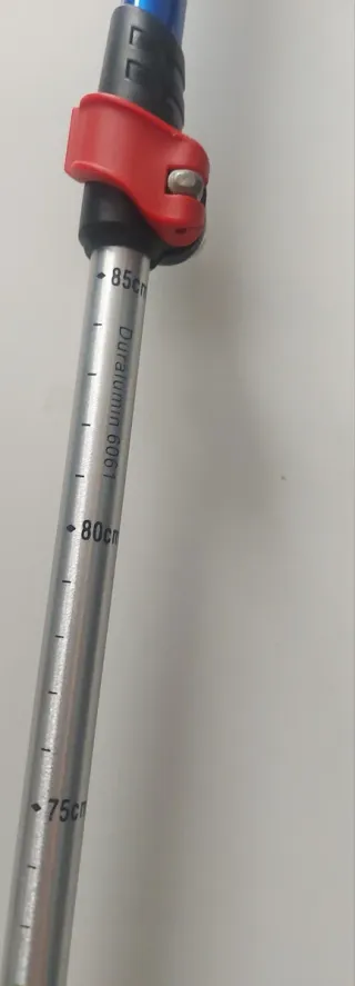 Bastón trekking extensible niño