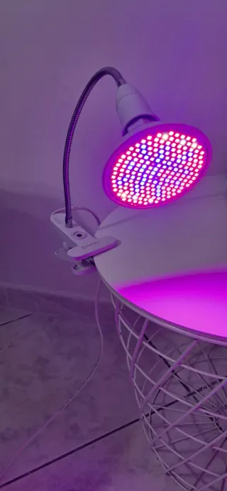 Lampada LED QiaoCare per crescita piante