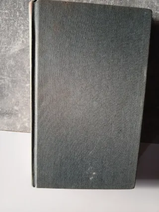 El hombre que miraba pasar los trenes