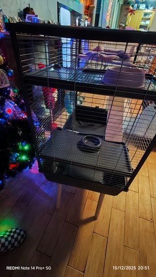 Jaula para conejos o roedores