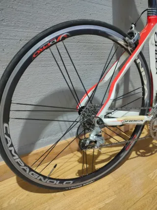 Orbea Orca T-51 CUADRO ROTO
