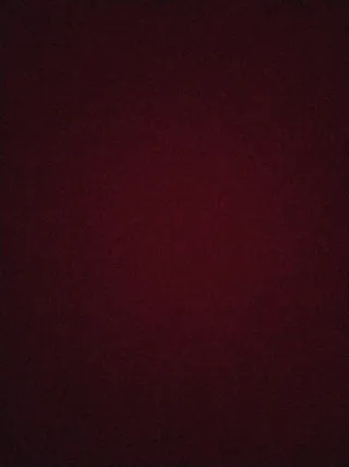 pack de libros pokemon