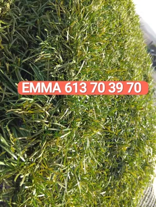 Venta césped artificial