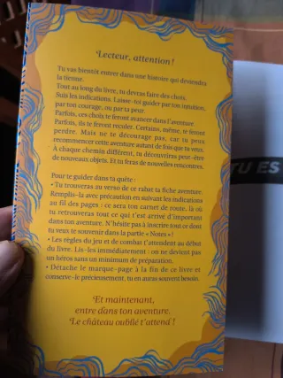 Tu es le héros du château oublié