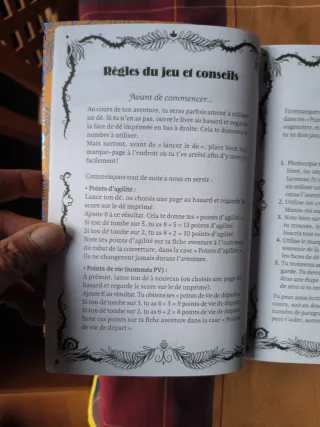 Tu es le héros du château oublié