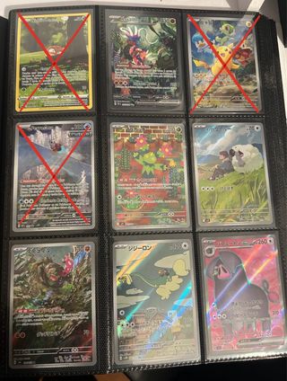 Collezione Carte Pokémon