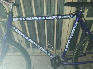 Bicicleta Morada SMINT