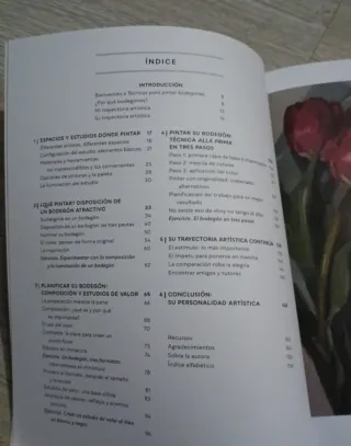 Técnicas para pintar bodegones, libro
