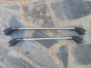 Baca Nissan X-Trail y Qashqai