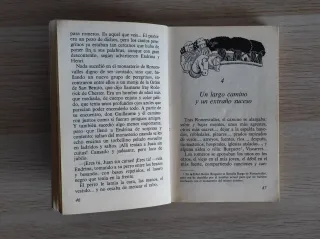 Endrina y el secreto del peregrino