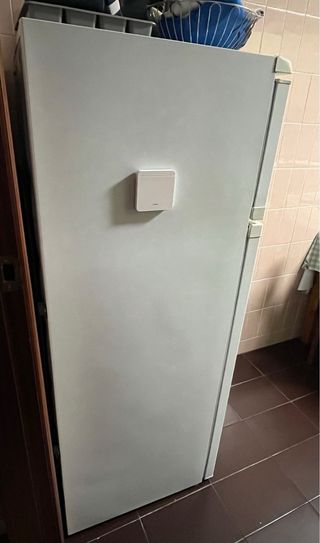 Nevera Aspes con Congelador