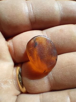 Ámbar Fósil Birmano - Cretácico