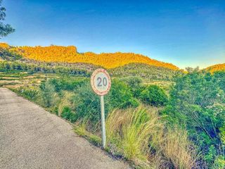 Terreno en venta en Adsubia