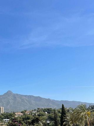 Piso en alquiler en Nueva Andalucía centro en Marbella