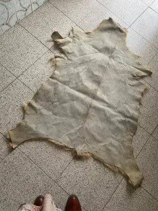 Piel de cabra curtida