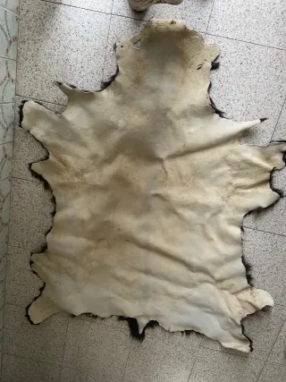 Piel de cabra curtida