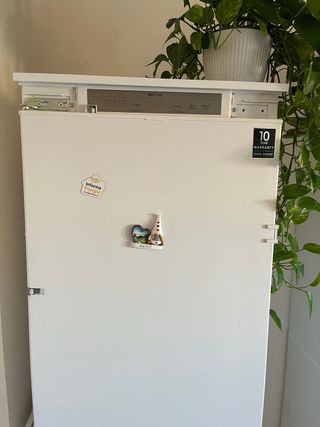 Frigorifero Samsung BRB260031WW