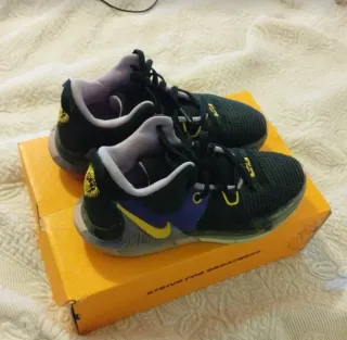 Nike LeBron Witness Zapatillas Baloncesto