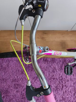 Bicicleta Infantil 20"