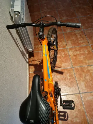 Bicicleta Infantil NEO 20 Aluminio 1V