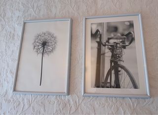 Set 2 Cuadros Láminas Diente de León y Bicicleta