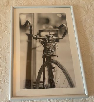 Set 2 Cuadros Láminas Diente de León y Bicicleta