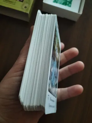 La Sibilla degli Elfi - Marisa Salandin