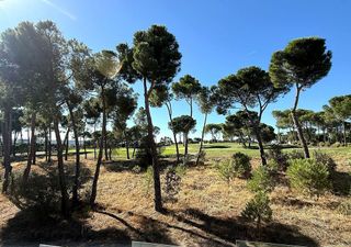 Chalet en alquiler en Ciudad Universitaria en Madrid