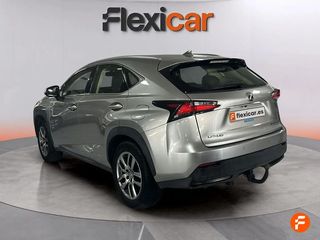 Lexus NX 2.5 300h Business 2WD