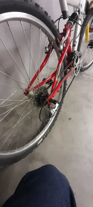 Bicicleta Orbea Montaña